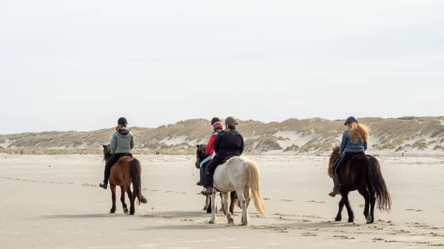 Sunset Horseback Ride: Countryside to the Sea