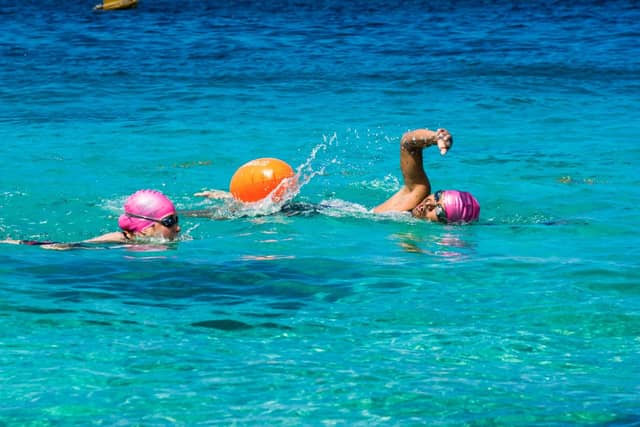 Open-Water Swim Workshop in the Bay