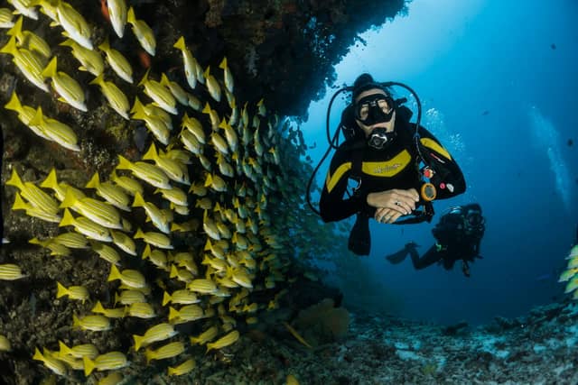 Discover Scuba: Anfängertauchen in Cala Vadella
